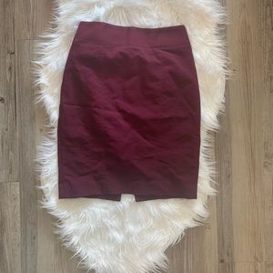 Express Pencil Skirt